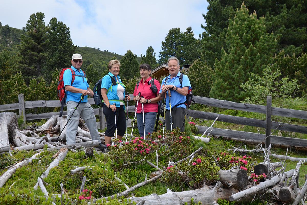 Platzer Alm 27.06.2016